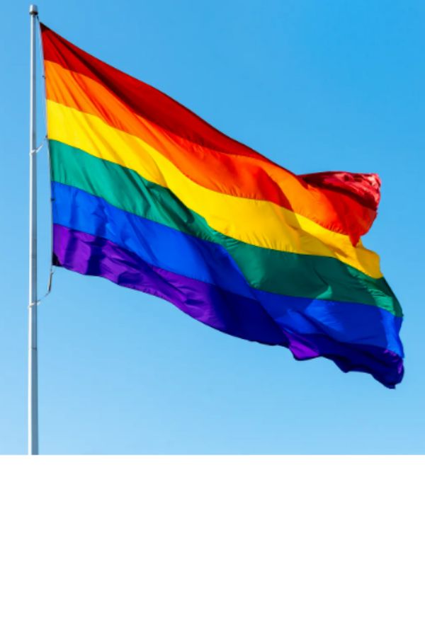 Bandera LGTBI - Amb anelles