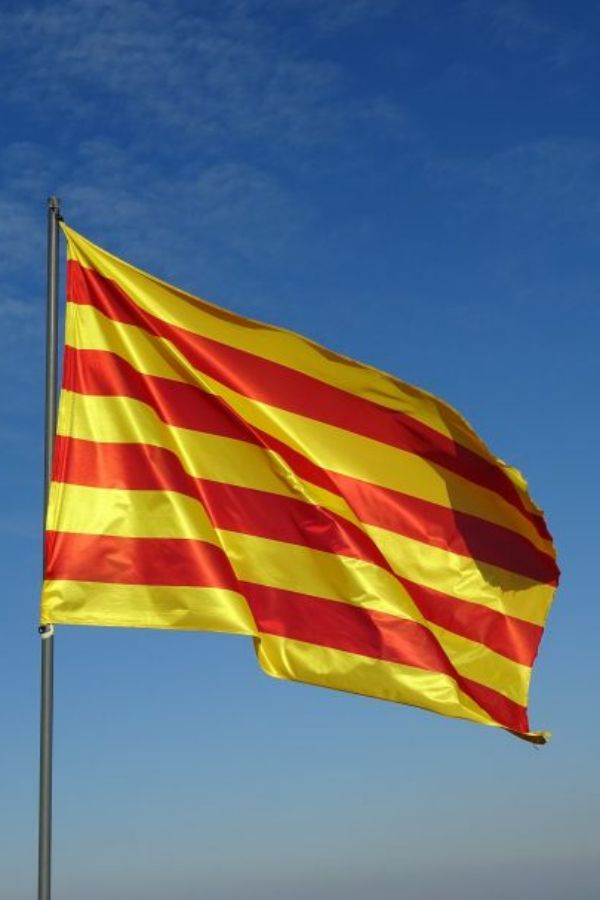 Senyera - Amb anelles